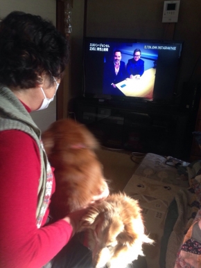 テレビ前の女性と犬