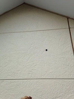 戸建住宅の外壁