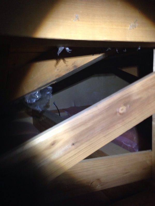 戸建住宅の屋根裏