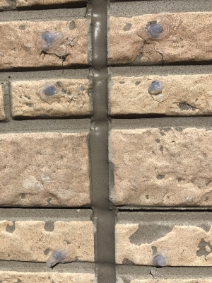 川越市富士見町　デザインアンテナ工事