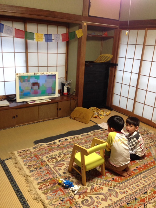 テレビを視聴する幼い兄弟