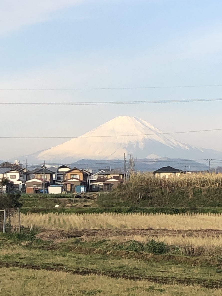 田園風景と富士山