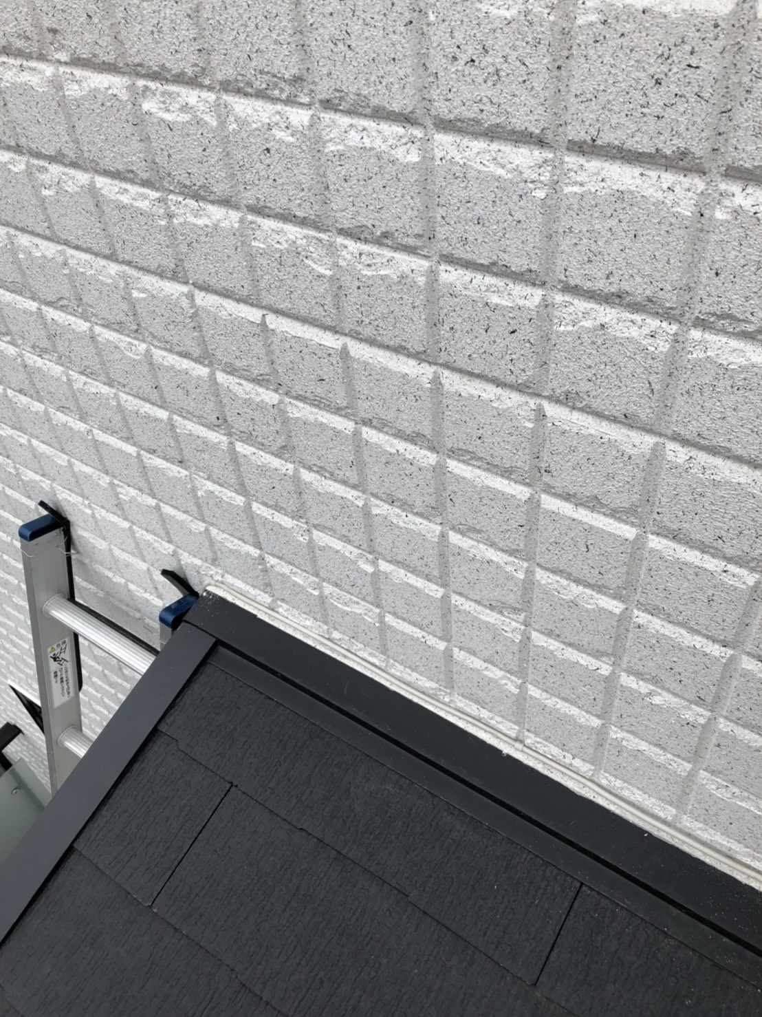 戸建住宅の外壁