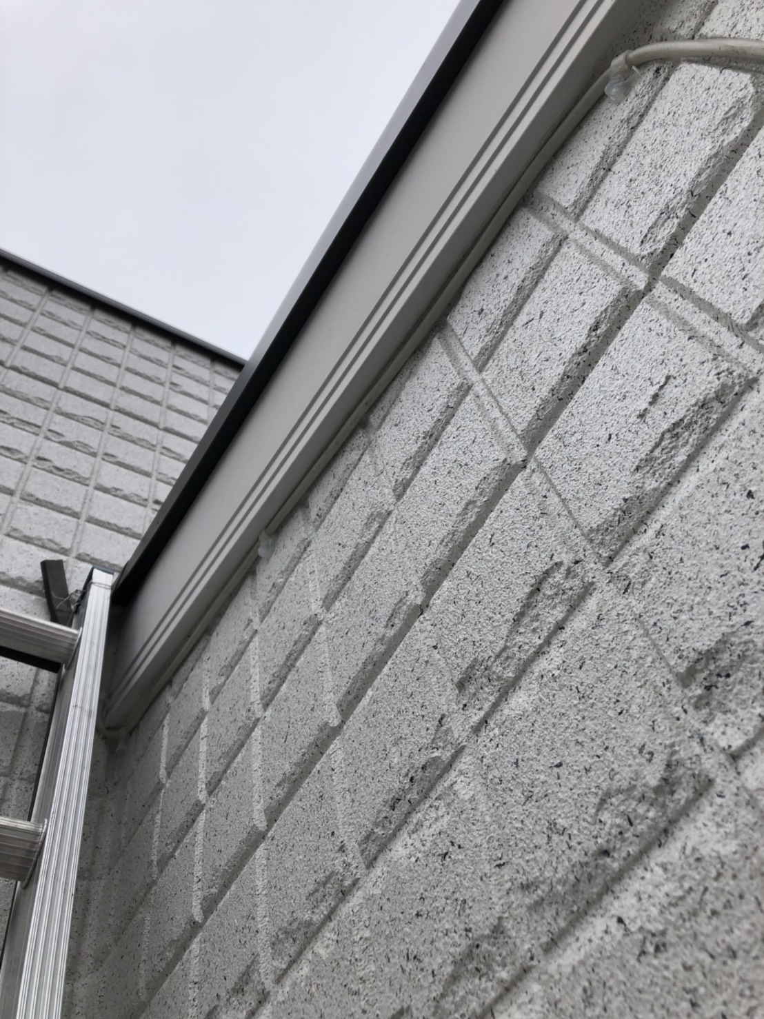 戸建住宅の外観