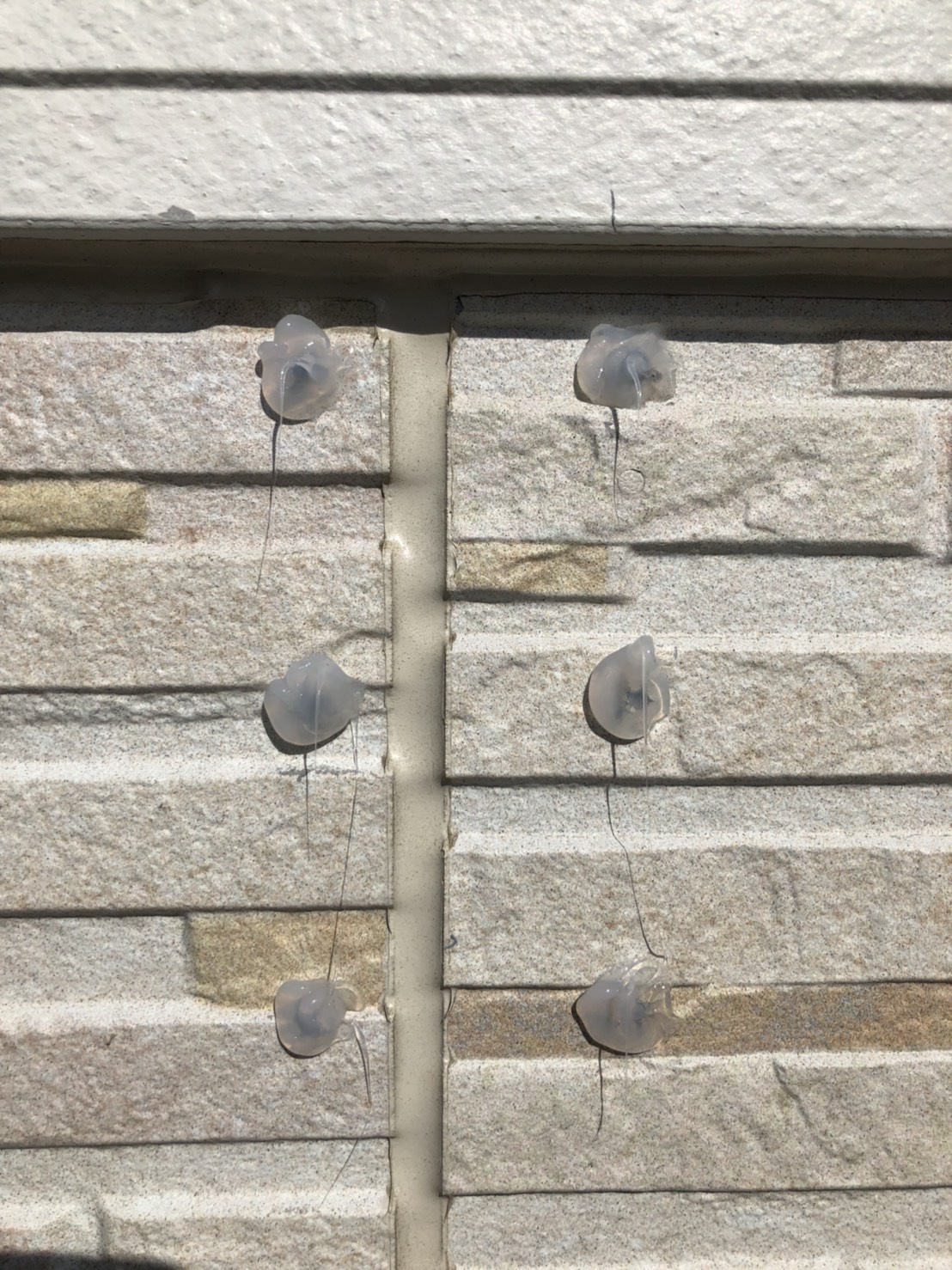 コーキング処理した外壁のビス穴