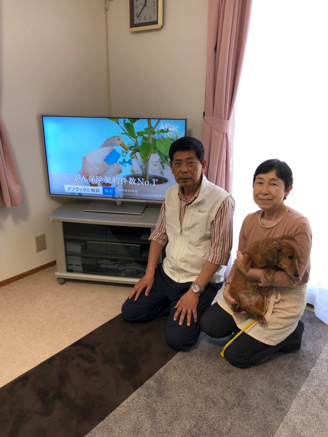テレビ横で正座をする男性と犬を抱えている女性