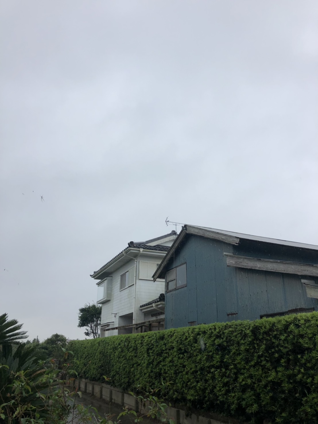 UHFアンテナを設置した戸建住宅