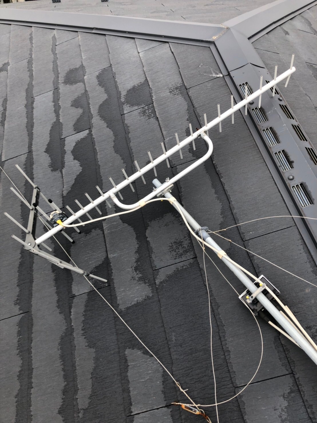 倒壊したテレビアンテナ