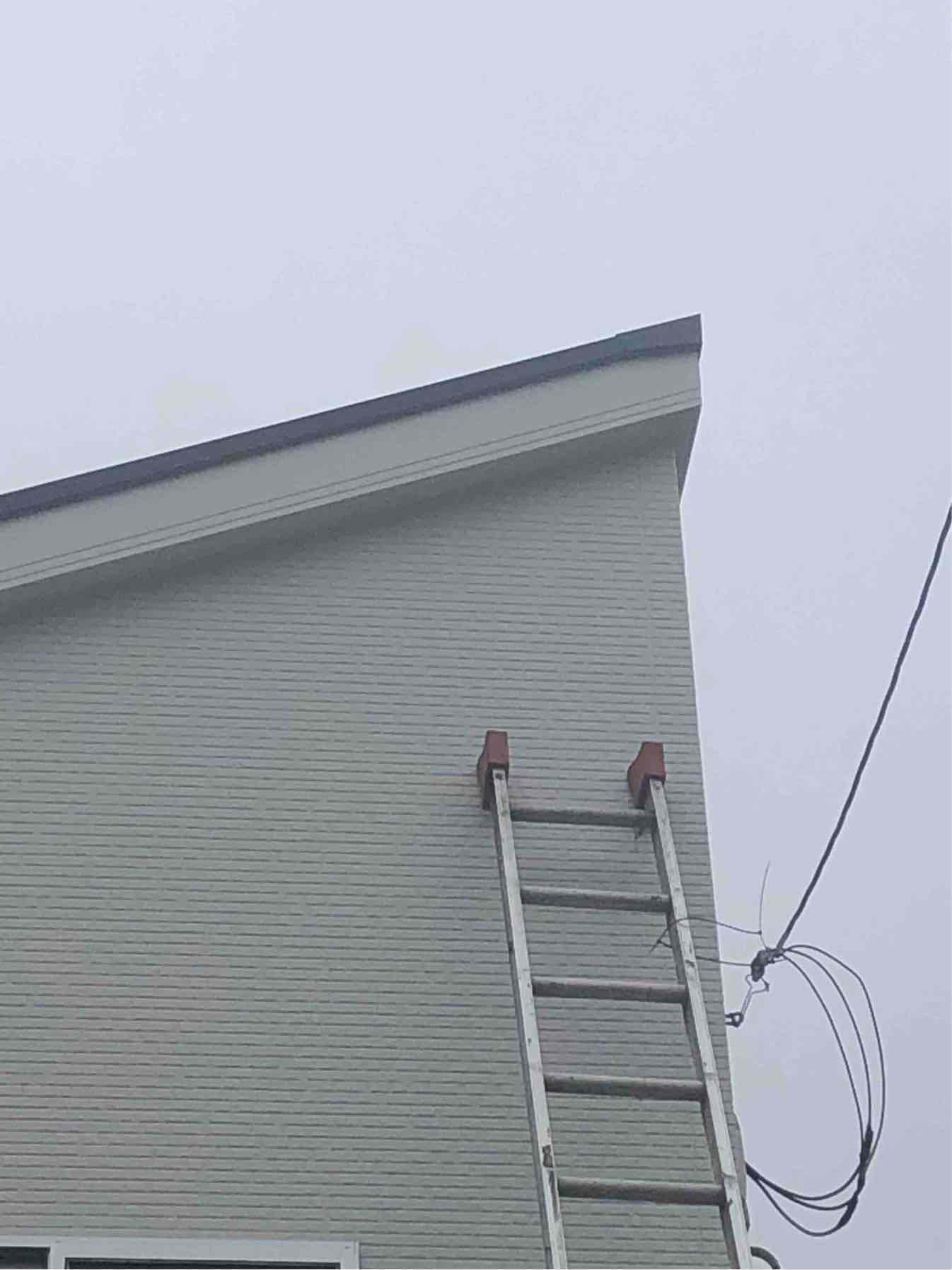 戸建住宅の外壁に立てかけた梯子