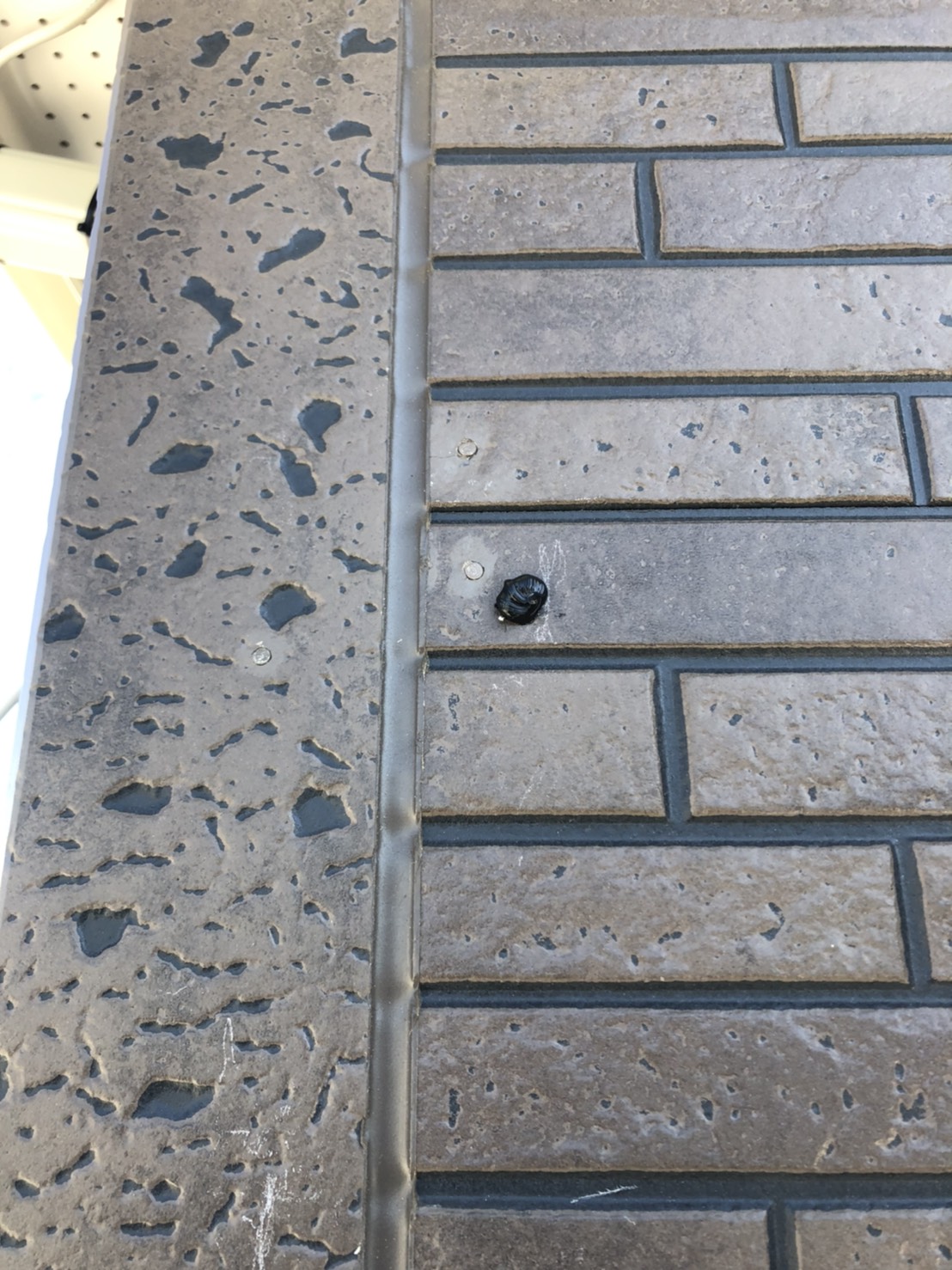 外壁に打ったコーキング処理済のビス